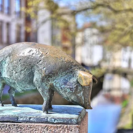 Ohlerich Speicher App_ 36 فندق Wißmar